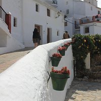 Horseback Riding in Almunecar