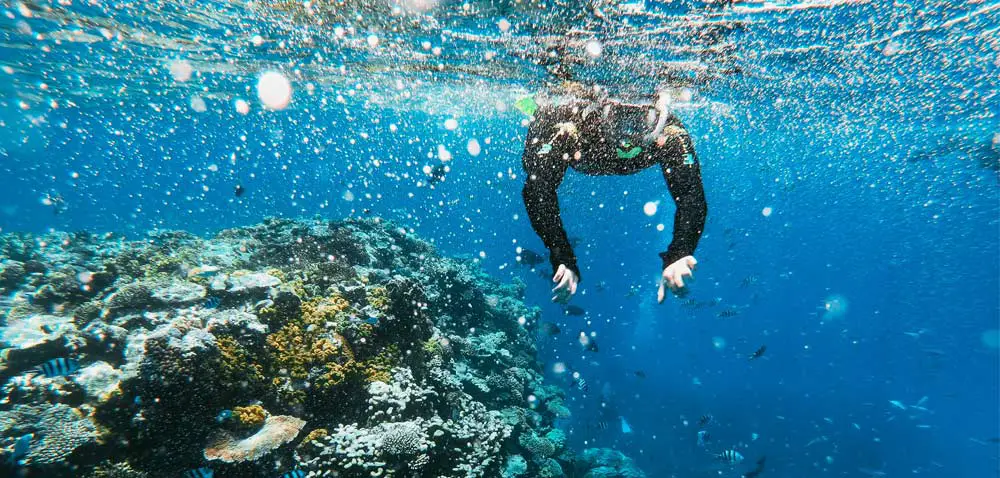 Scuba Diving La Herradura