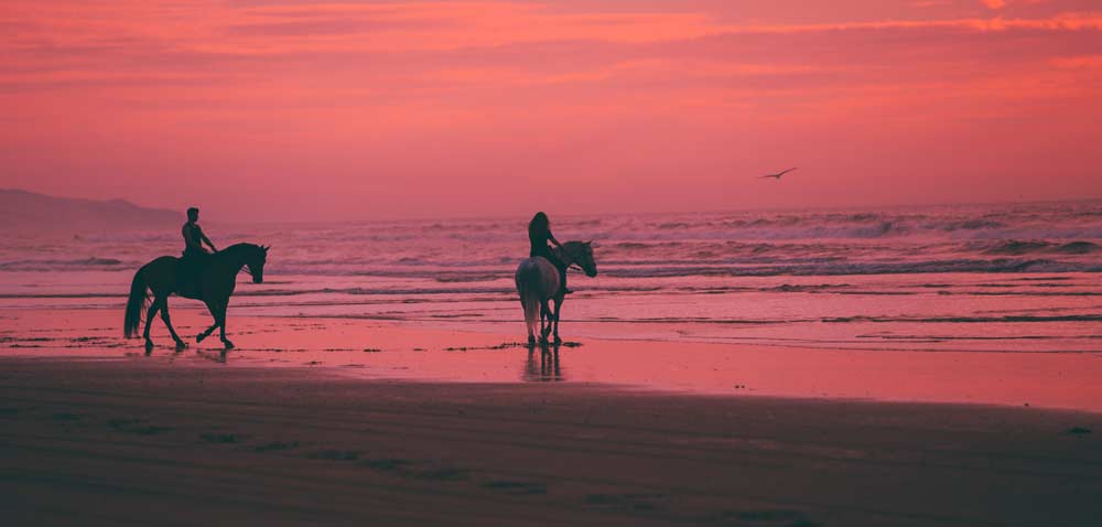 Horseback Riding Centers - Almuñécar